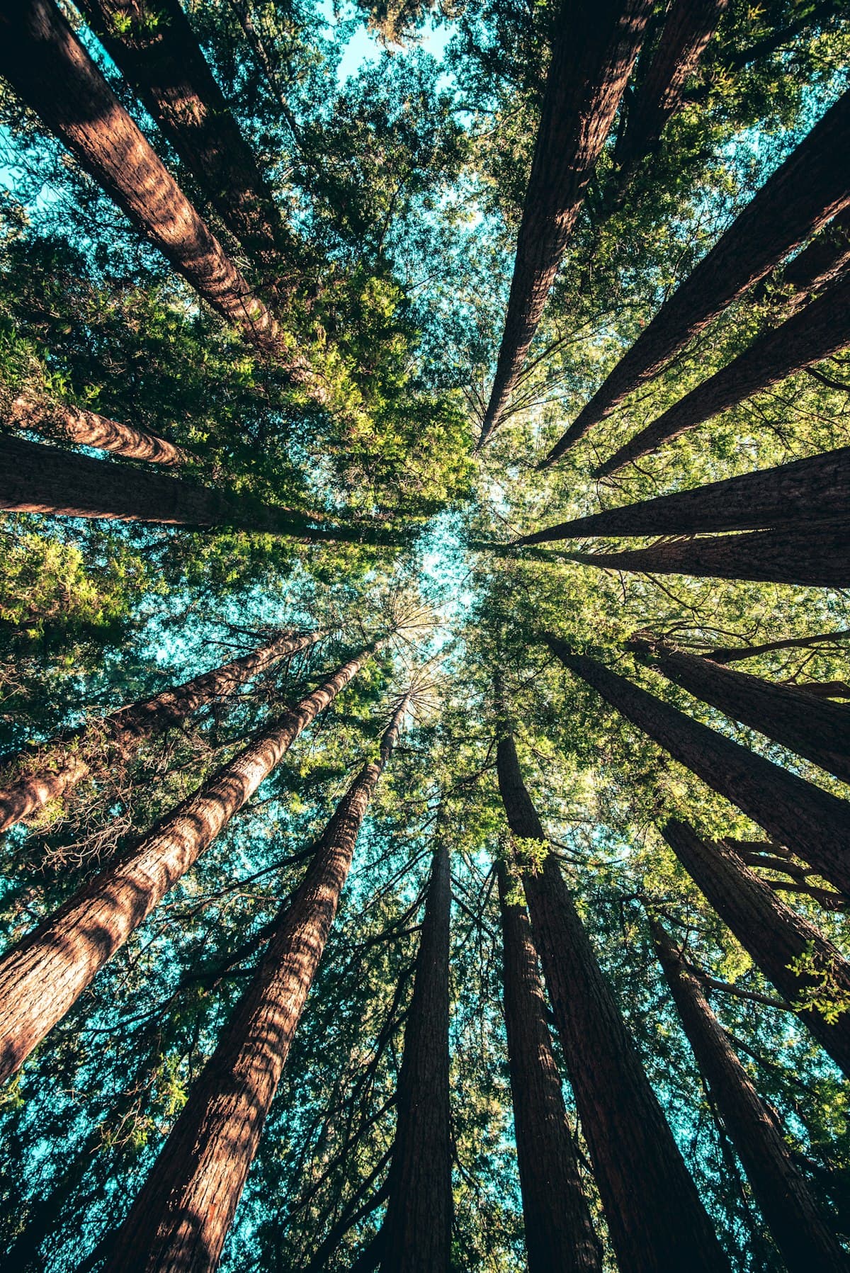 Multi-Facility GHG Accounting: Solving the Scope 1, 2, and 3 Data Collection Bottleneck